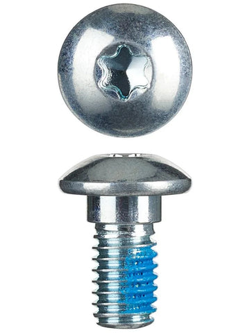 Torx Mounting Screw